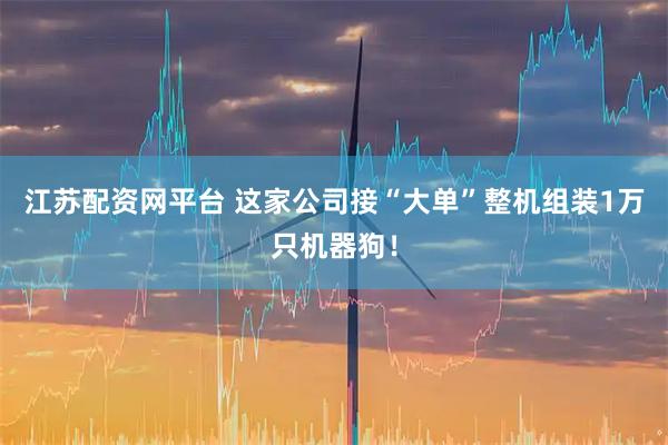 江苏配资网平台 这家公司接“大单”整机组装1万只机器狗！