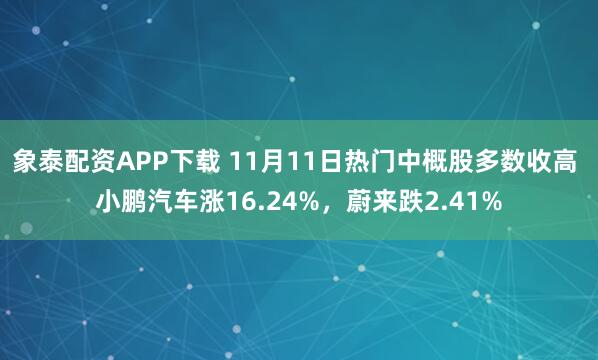 象泰配资APP下载 11月11日热门中概股多数收高 小鹏汽车涨16.24%，蔚来跌2.41%