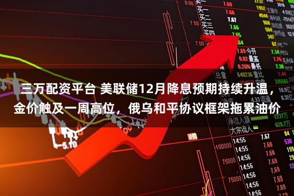 三万配资平台 美联储12月降息预期持续升温，金价触及一周高位，俄乌和平协议框架拖累油价