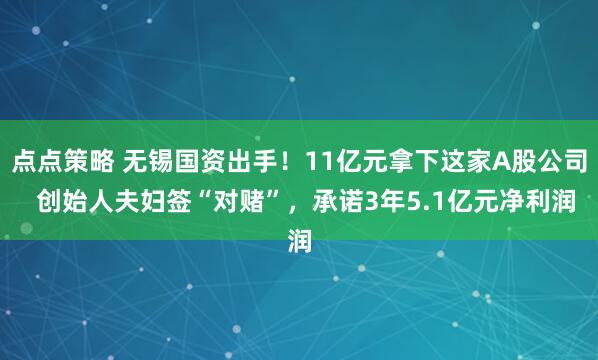 点点策略 无锡国资出手！11亿元拿下这家A股公司  创始人夫妇签“对赌”，承诺3年5.1亿元净利润
