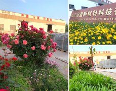 属于每一位金年会人的“花园”